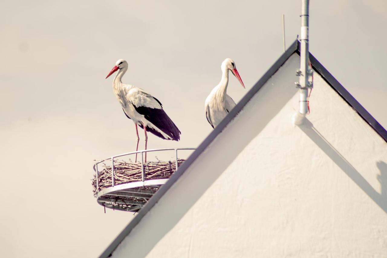 Dasweinberg Contactless Check-In Podersdorf am See Zewnętrze zdjęcie